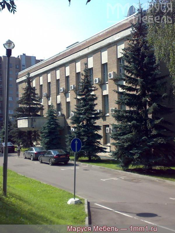 Благодарность от посольства Анголы