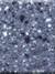 API CONTENT TAB: Tristone Romantic F-102 Aquamarine
