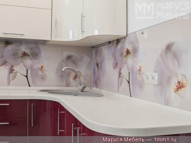 Бежево красная кухня: Фотопечать Орхидеи