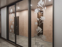 Шкафы-купе с пескоструйным рисунком